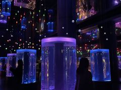 ۂȂ񂳂̃}NZ ANAp[Niւ̓eʐ^1