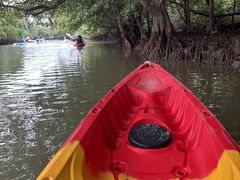 Pa̐Ί_ ADVENTURE PiPiւ̓eʐ^1