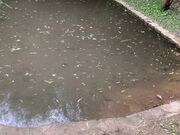 mi����̍֏��Ԃ̓��e�ʐ^5