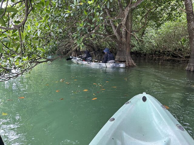 }O[u̒Jk[ł鎞̓hLhL܂ył_OHCUSΊ_