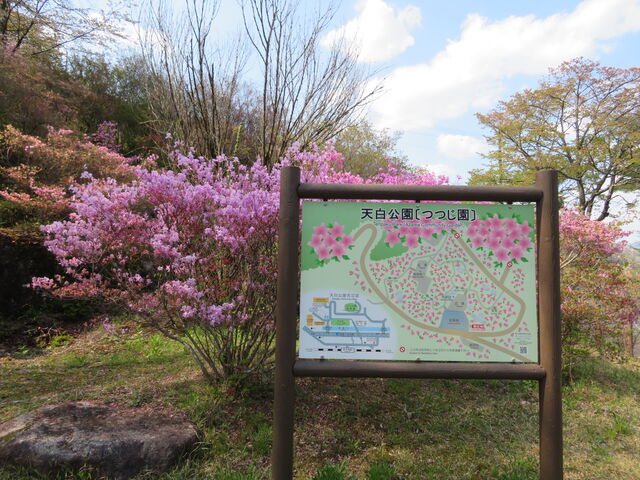 �V�������̂���_�Ȃ����~�c�o�c�c�W