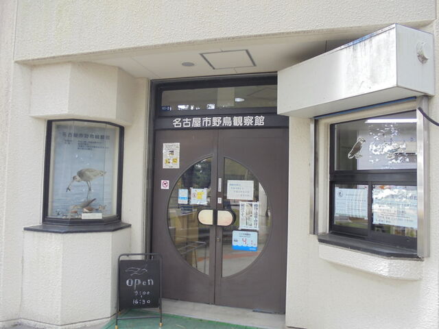 쒹ώ@ق̓_És쒹ώ@