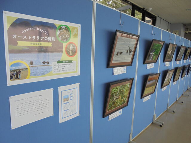 񂳂̖És쒹ώ@ق̓eʐ^10