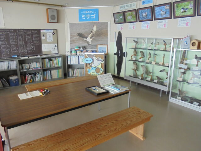 xeŒkbł܂_És쒹ώ@