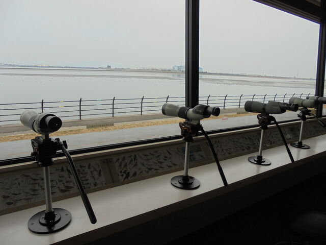 K@Ŏgpł]ς_És쒹ώ@