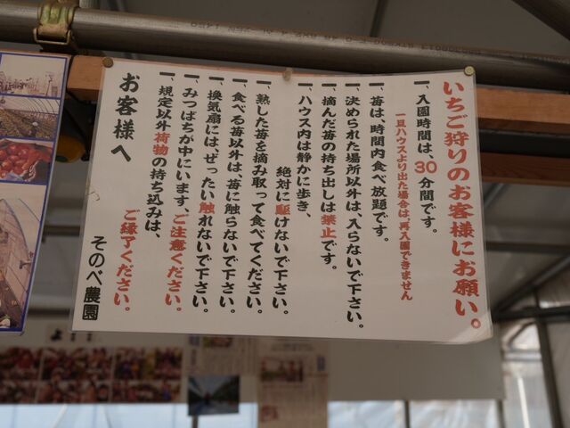 ��������胋�[��_���̂ה_��