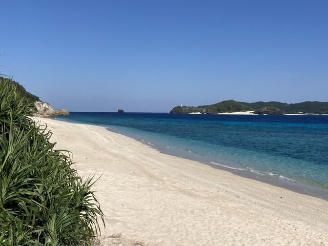 �N�����Ȃ����l_�j�V�o�}�r�[�`