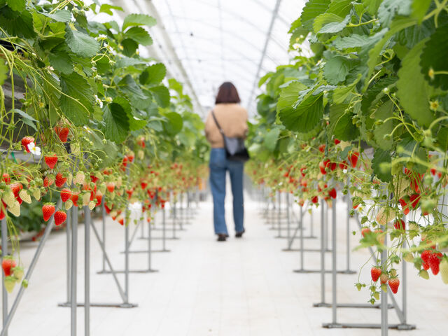 �ʘH�͏\���ȕ�������܂����B_�R��Ԃǂ���������