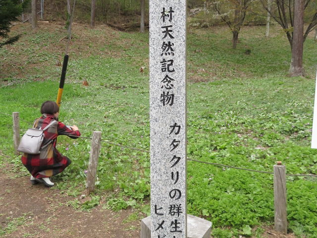 ĽÐ쎛̃J^N̓eʐ^3