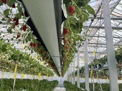 the BERRY YOKOHAMA̎ʐ^1