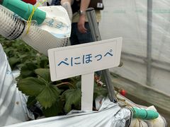 ݂̒_@ʋG̎ւ̓eʐ^4