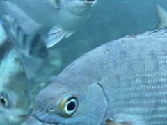 񂿂̋{Ó}KChЂւ̓eʐ^1