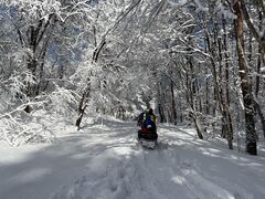 keiHAC كAEghAZ^[ւ̓eʐ^1