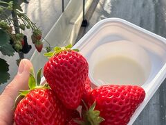 DAIMOAI����̍]�Ԃ��������Z���^�[�ւ̓��e�ʐ^1