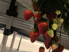 䂤̌(䂢)t@[ւ̓eʐ^1