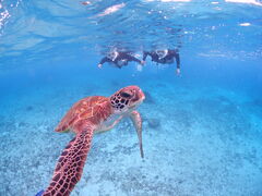 Ɂ[CHAMP TOUR {Óւ̓eʐ^1