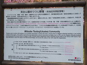 �L������̂Ȃ����~�c�o�c�c�W�̓��e�ʐ^3