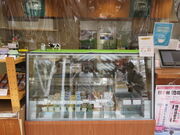 L̓̉w ؑ]쌹̗ނ̓eʐ^3