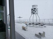 60��̃X�m�[�{�[�h�������񂳂�̓��̉w�@�����̂̓��e�ʐ^2