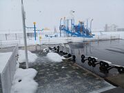 60��̃X�m�[�{�[�h�������񂳂�̓��̉w�@�����̂̓��e�ʐ^3