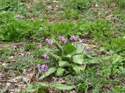 ĽÐ쎛̃J^N̓eʐ^1