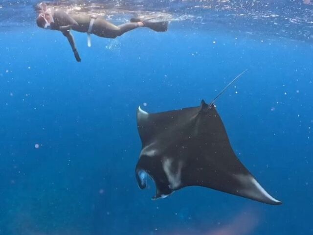 ����Ȃɋ߂��܂ŗ��Ă���܂����I_Kahoo_ishigaki