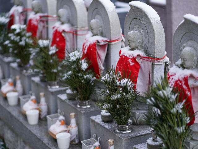 ��i�F_�����R ��t��