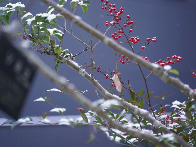 ��i�F_�����R ��t��