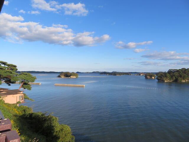 �������򂩂珼���p_��������