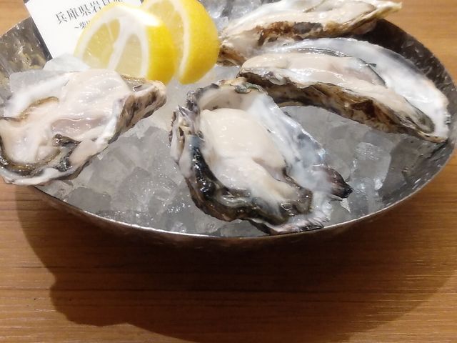 ^y4s[XEQCPPQ~_Xe[VICX^[o[ GXpX