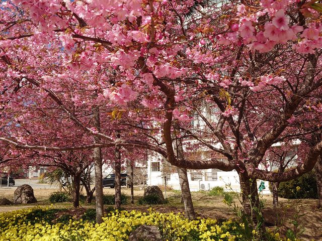 c݂ȂƂ̑ŊςĂł_Jc݂Ȃ