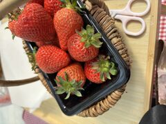 gsRSky Flora Farmւ̓eʐ^1