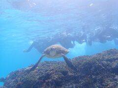 ݂nico {Óւ̓eʐ^1