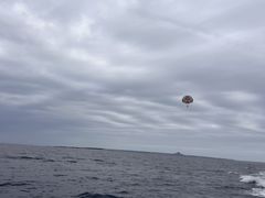 ݂̃}Vbv }[Chւ̓eʐ^1