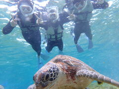 RoVnico {Óւ̓eʐ^1