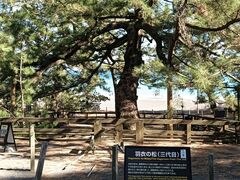 �܂��܂�����̎O�ۏ����ւ̓��e�ʐ^1