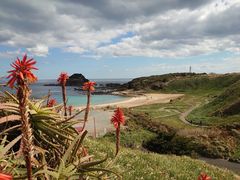 񂿂イ̒ܖ؍ւ̓eʐ^1