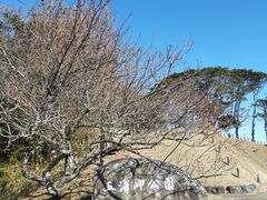 �����ڂ�����̌܉Y�C�݂ւ̓��e�ʐ^1