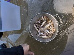 ɂ˂邳SUP&WINDgΕւ̓eʐ^1