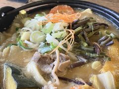 ܂߂̍bBقƂotoCpXXւ̓eʐ^1