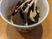 ���B����̏ē����񂮁@�앟���X�̓��e�ʐ^2