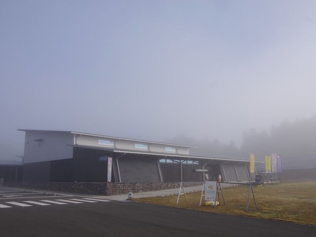 �R�̒��̊C�R�̒��@�ɂ����@�Ђ݂�n�~���[�W�A��