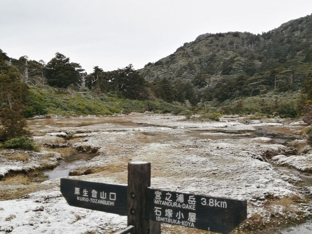 ��̎c��ԔV�]��_�{�V�Y�x