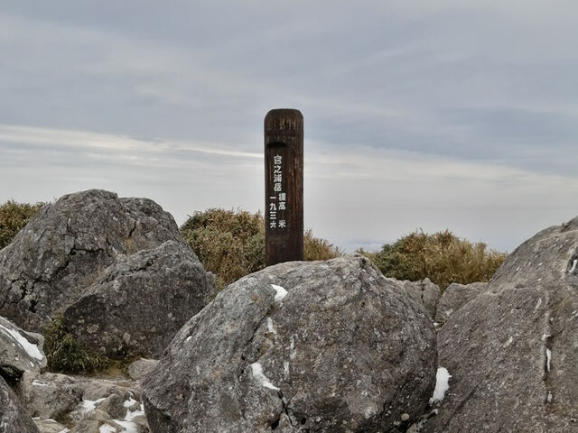 �{�V�Y�x�R��_�{�V�Y�x