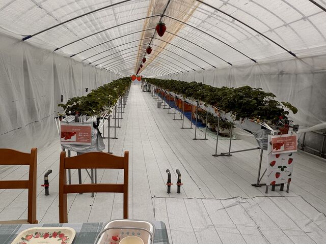 �n�E�X���̗l�q_�T���x���[�_��