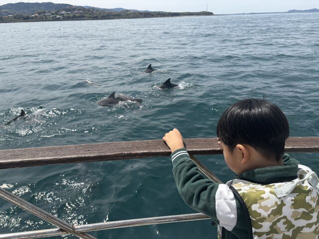 ߂ẴCJEHb`O_CJEHb`Ot\Z^[