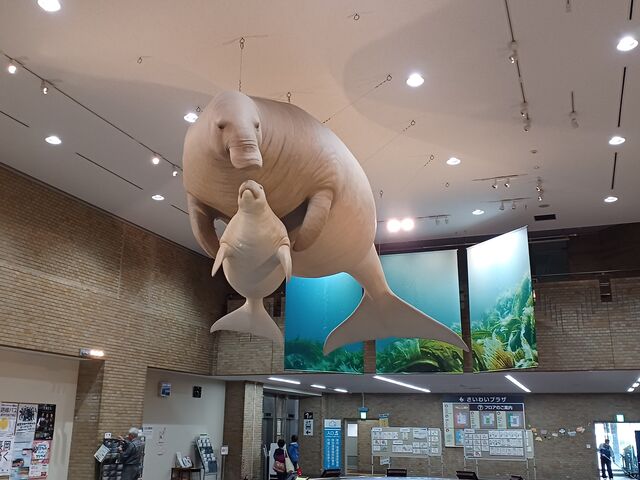 ̂䂫̒sȊwق̓eʐ^2