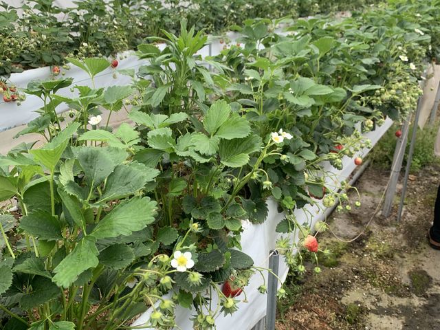 �c�̗l�q_������������