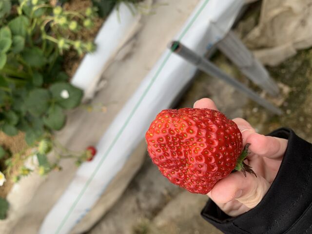 �������I_������������