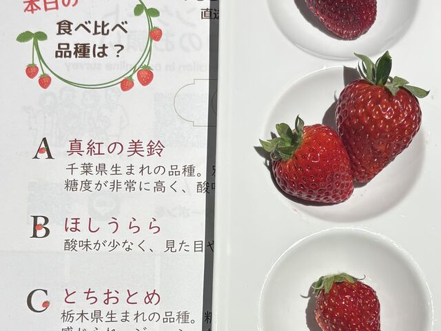 �T�C�g����\����T�Ƃ��āA䕂̐H�ה�ׂ��Ă܂����I
�^�g�̔���̓T�C�R�[�ł���w_�A�[�g�z�e�����c